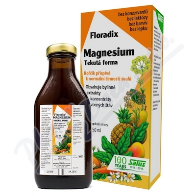 SALUS Floradix Magnesium 250ml