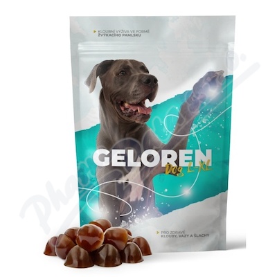 Geloren dog L-XL kloubni vyziva tbl.60