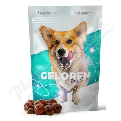 Geloren dog S-M kloubni vyziva tbl.60