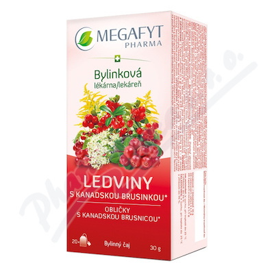MEGA Byl.lek.Ledv.s kan.brus.20x1.5g