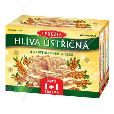TEREZIA Hliva us.s rakyt.olej.cps.60+60